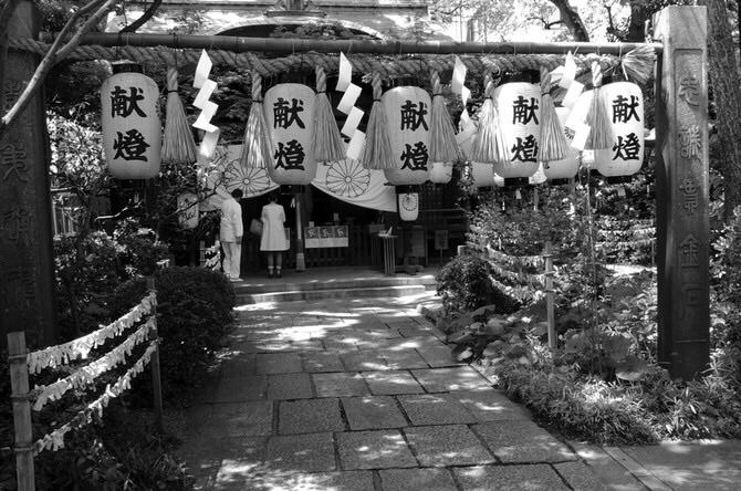 堀越神社图片