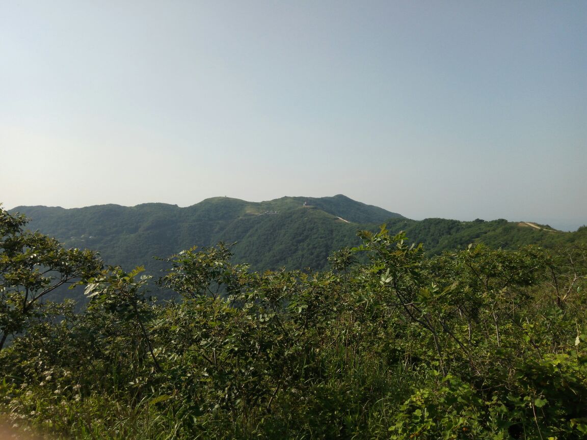 京山绿林古兵寨好玩吗,京山绿林古兵寨景点怎么样_点评_评价【携程