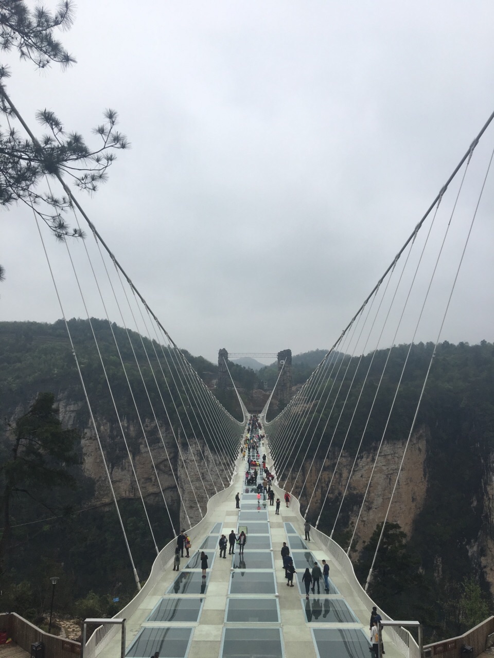 張家界大峽谷玻璃橋