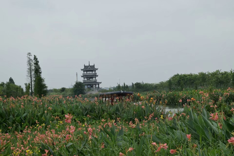 華陽湖溼地公園