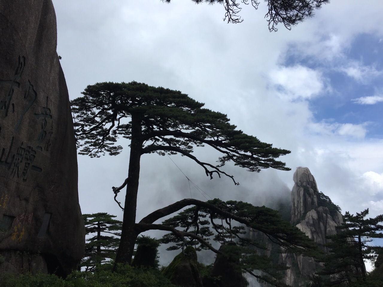 2019迎客松_旅遊攻略_門票_地址_遊記點評,黃山區旅遊景點推薦 - 去