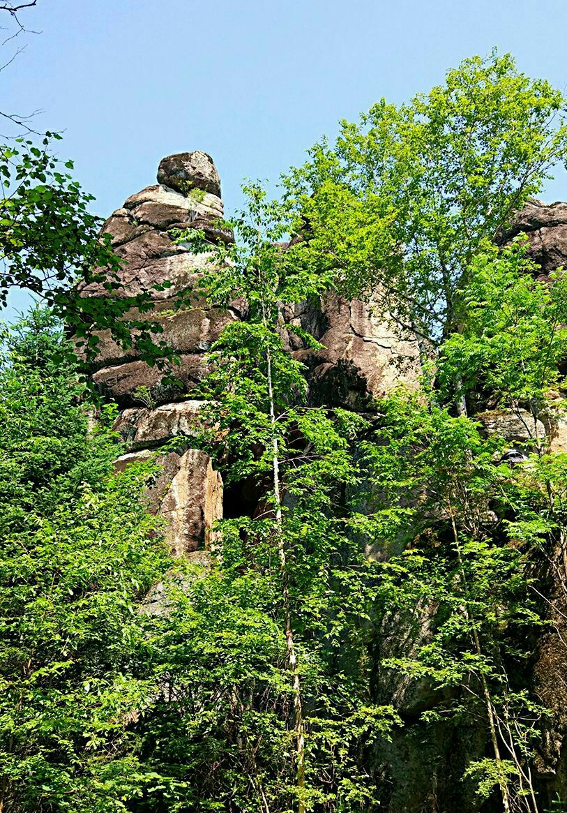 石林风景区(汤旺河公园)_旅游攻略_门票_地址_游记点评,伊春旅游