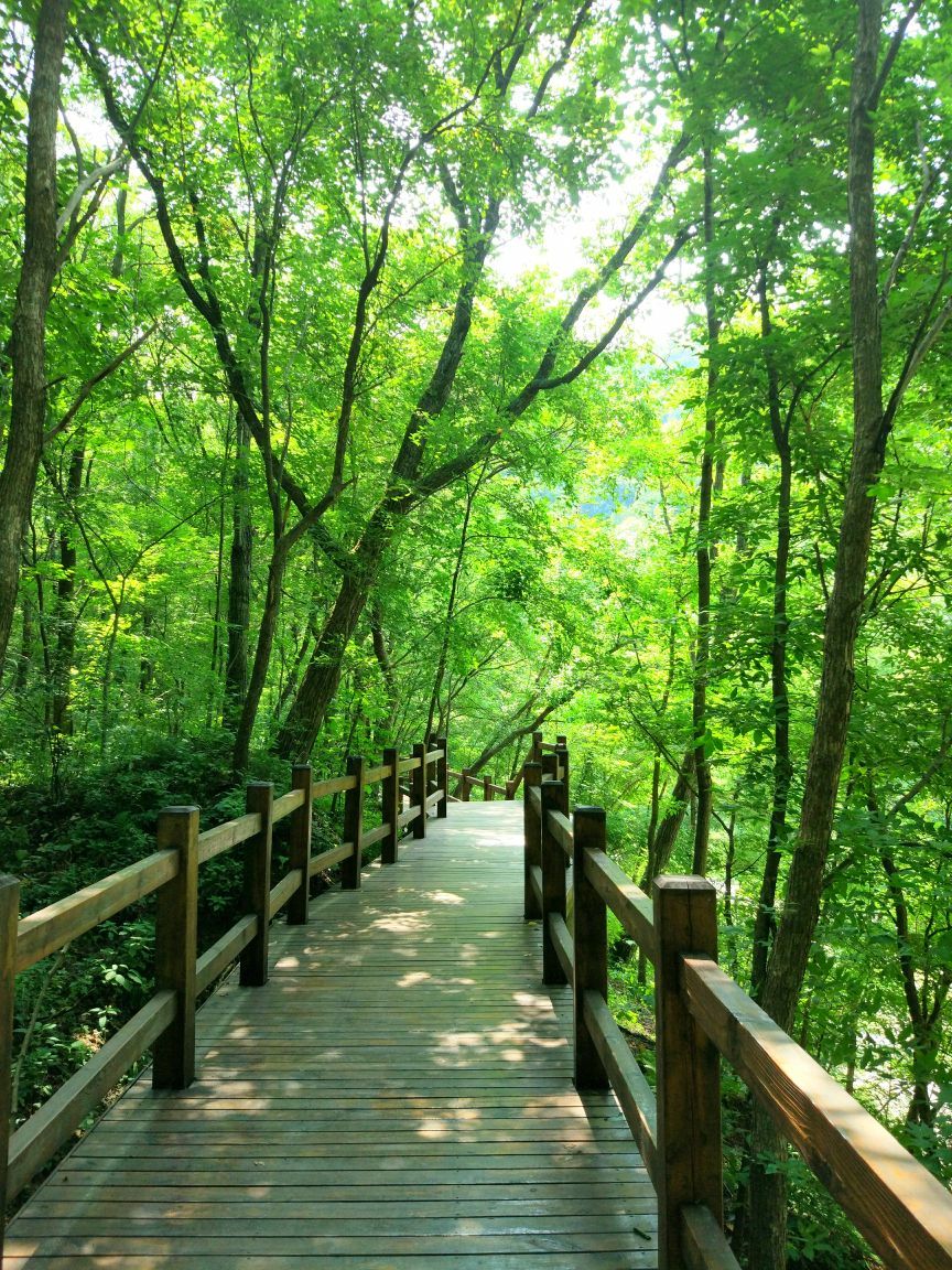 筐子沟生态风景区