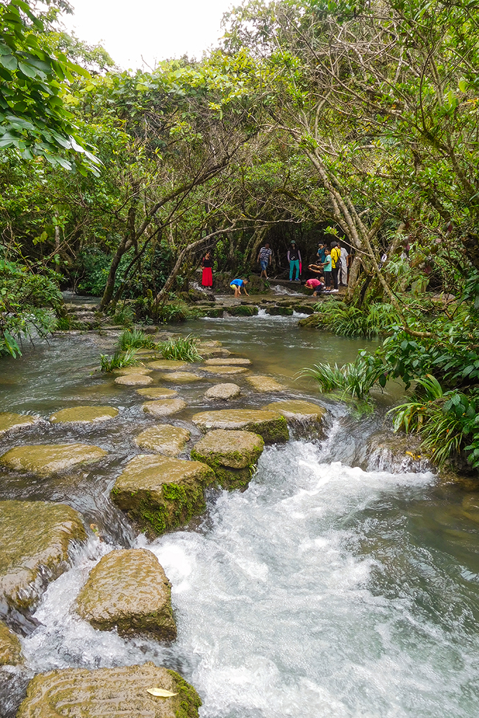 黔南水上森林好玩吗,黔南水上森林景点怎么样_点评_评价【携程攻略】