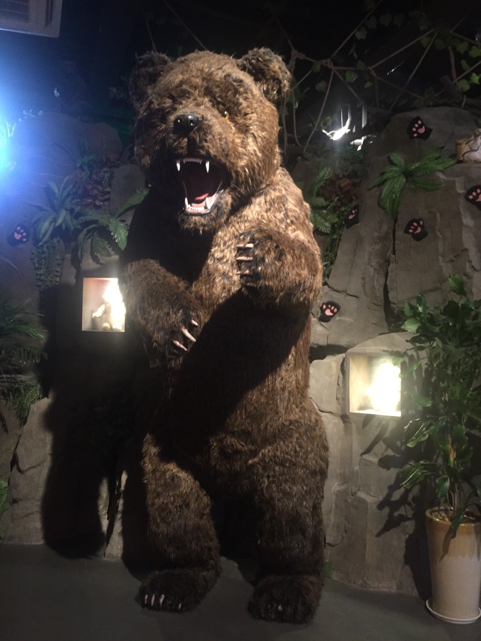 泰迪之家博物馆