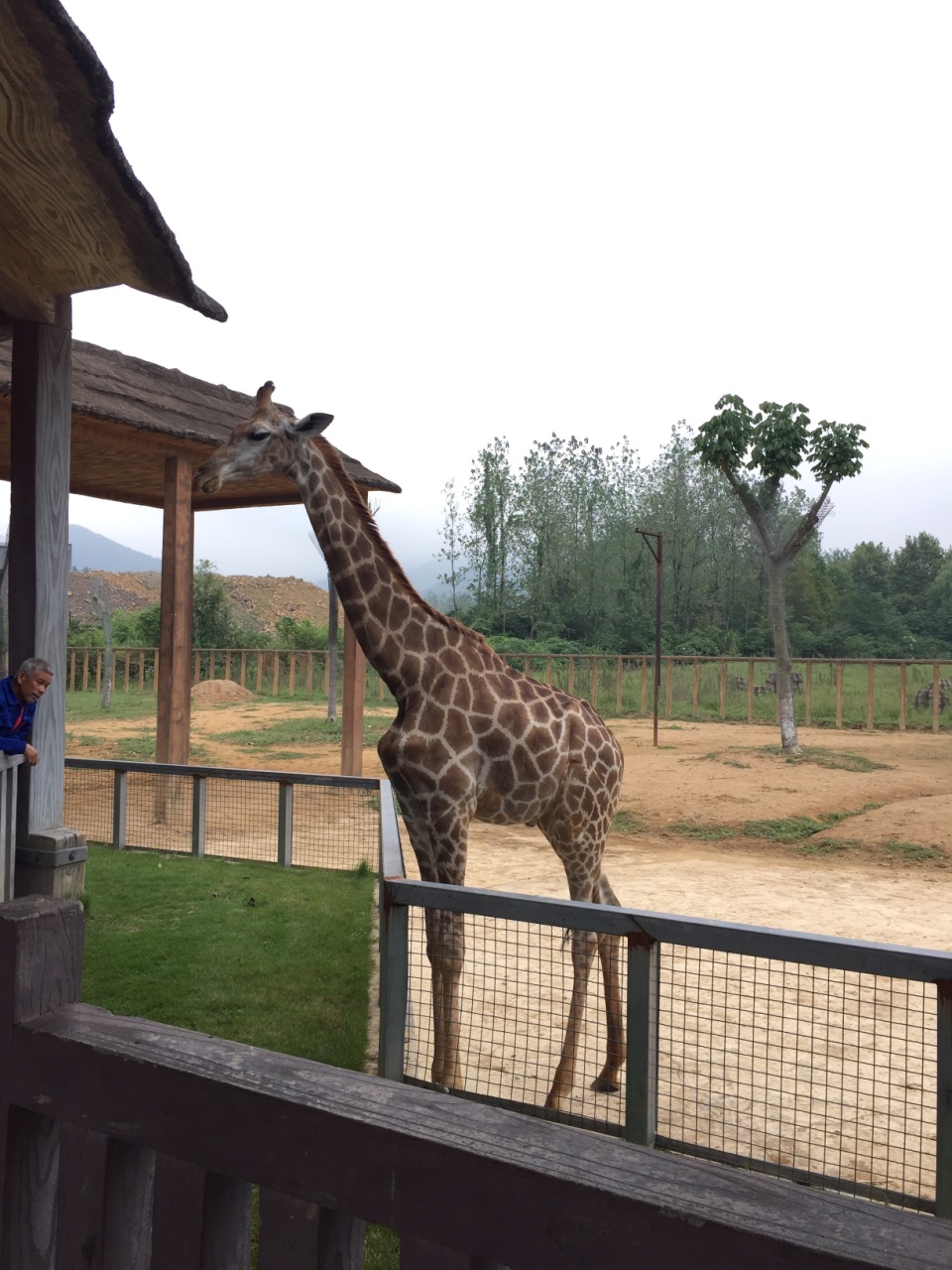 【攜程攻略】富陽杭州野生動物世界景點,動物很多也很好玩,大象表演很