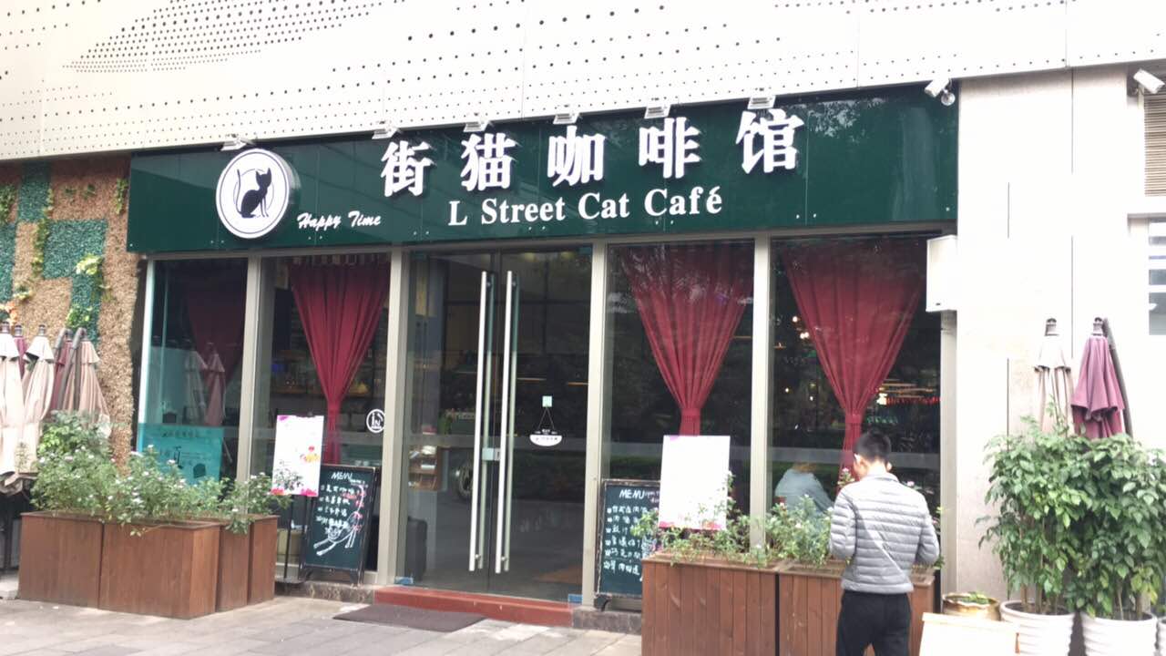 2021街猫咖啡馆(深圳北站店)美食餐厅,环境还可以,第一次尝试下紫.