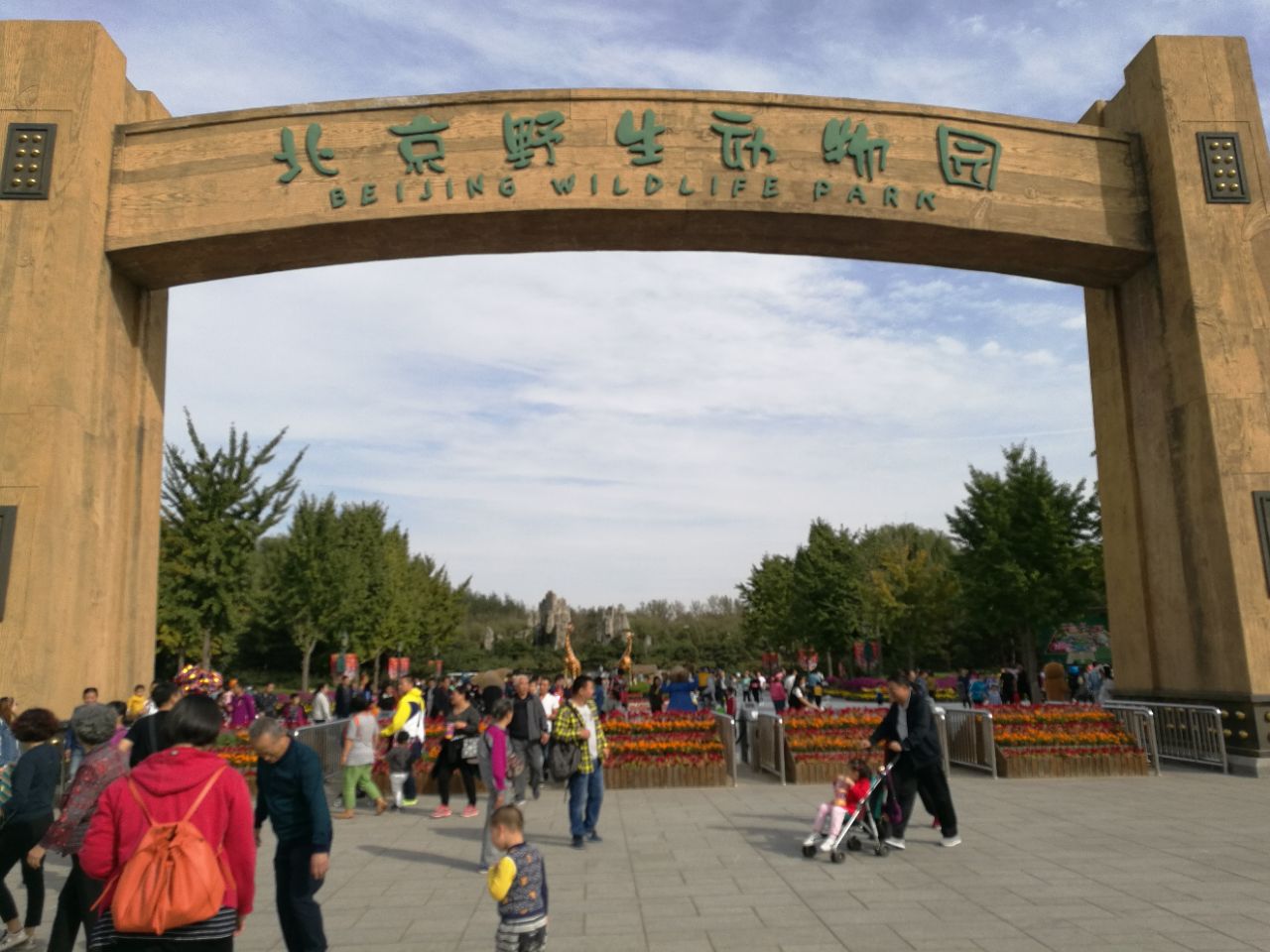 2024北京野生动物园游玩攻略,里面的环境也不错.有个有意.