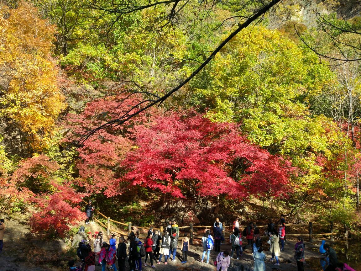 關門山國家森林公園旅遊景點攻略圖