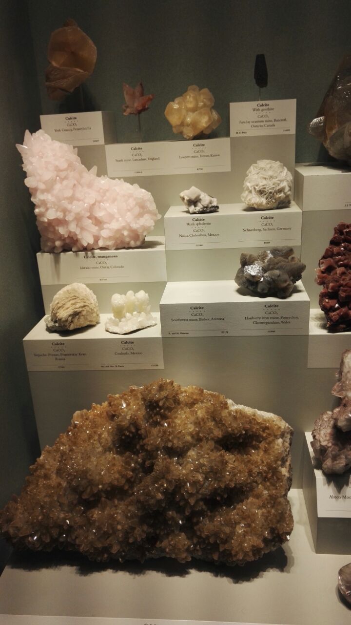 2023史密森博物馆游玩攻略,.孩子去,里面很多动物展厅.【去哪儿攻略】