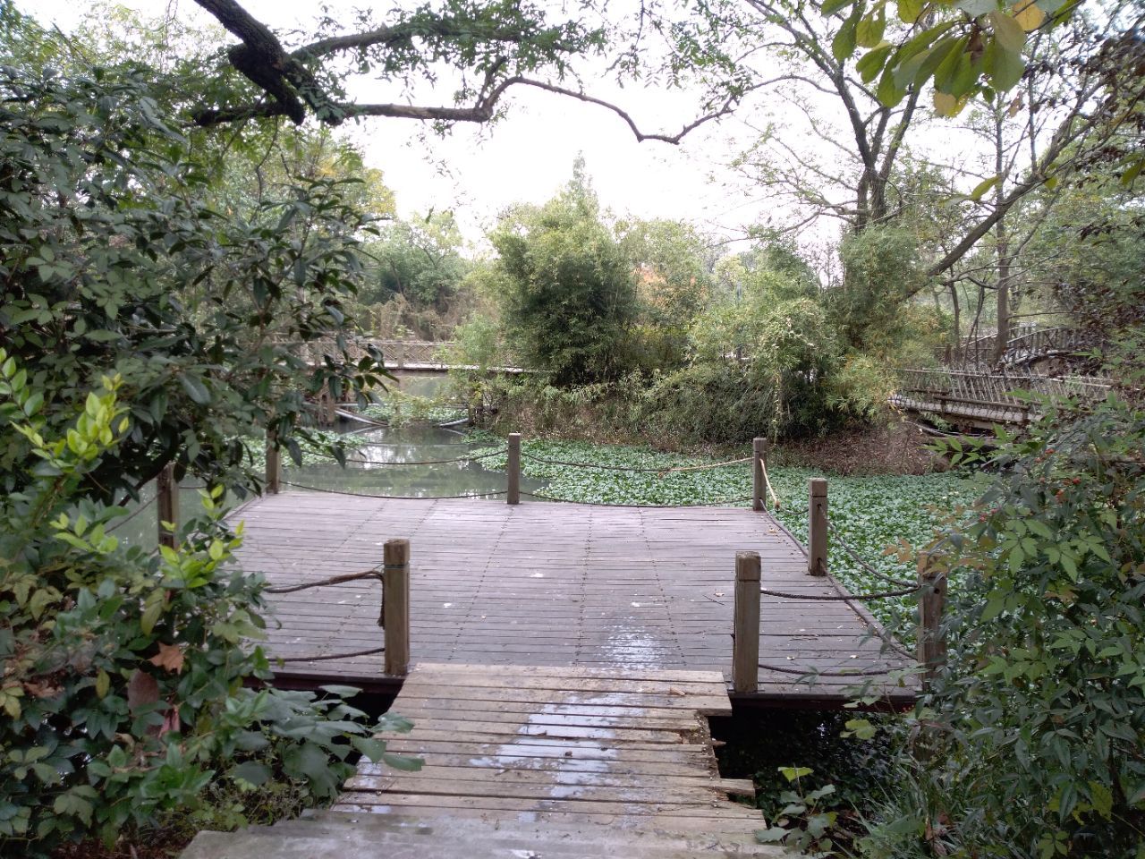 【携程攻略】杭州西溪国家湿地公园景点,有免费的观光区和收费的观光区。 免费的观光区延福堤两面展开，福堤…