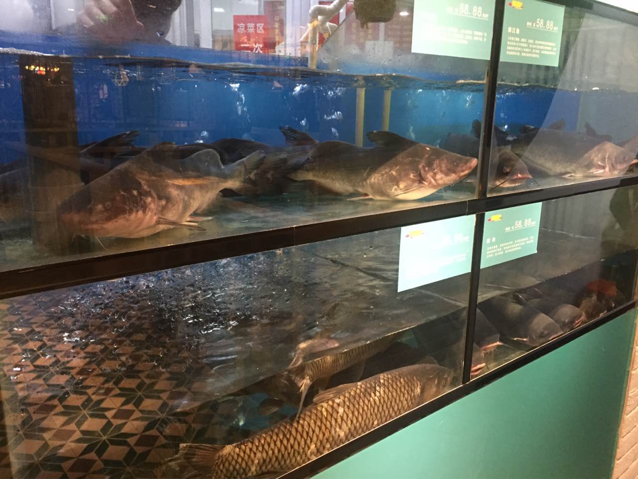 漫烤鱼(置诚店)