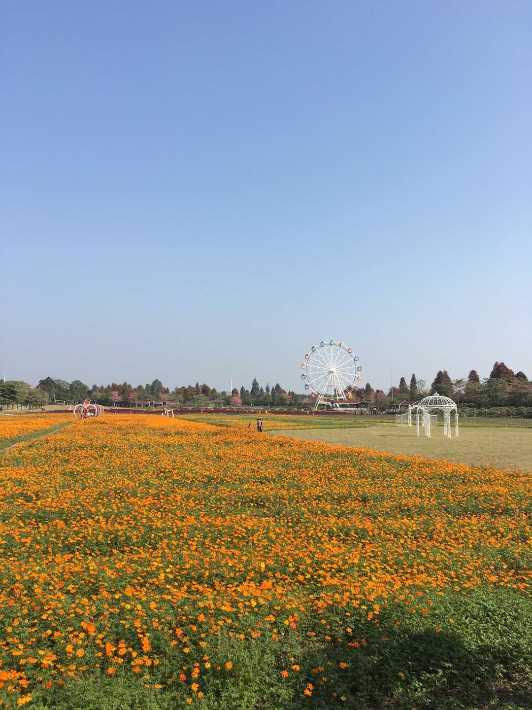 佛山市梦里水乡百花园图片