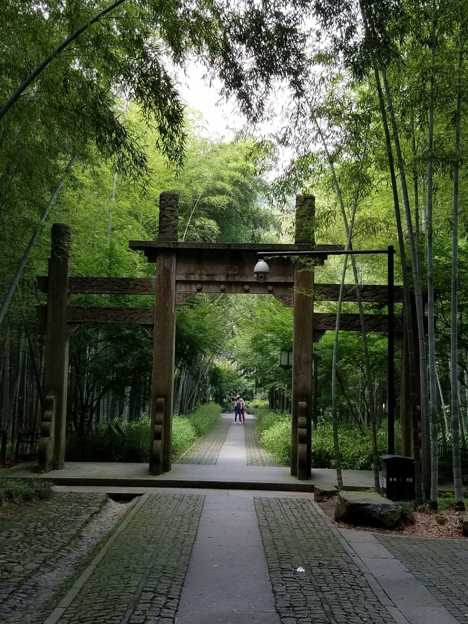 【携程攻略】杭州云栖竹径好玩吗,杭州云栖竹径景点怎么样_点评_评价