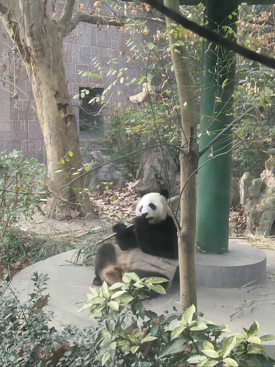 成都動物園