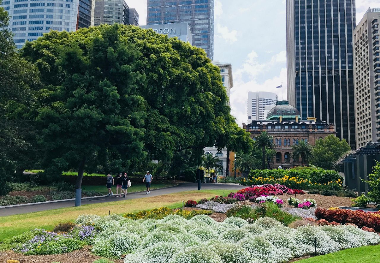 悉尼皇家植物園好玩嗎,悉尼皇家植物園景點怎麼樣_點評_評價【攜程