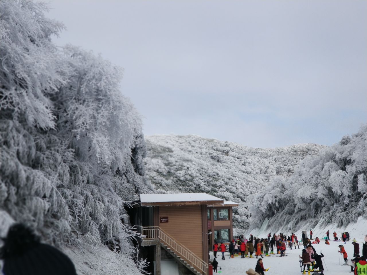 金佛山北坡景区