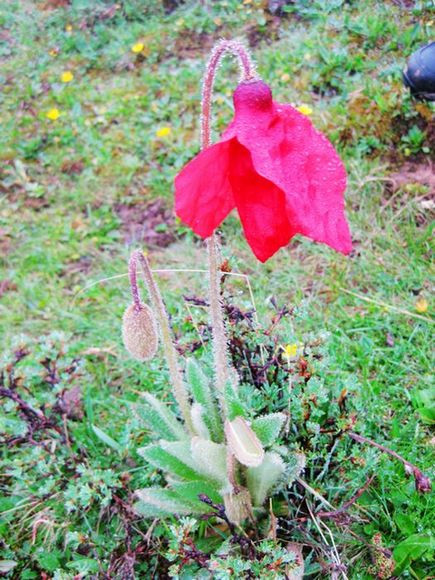 2013年6月穿越;中国十大非著名山峰扎尕那-