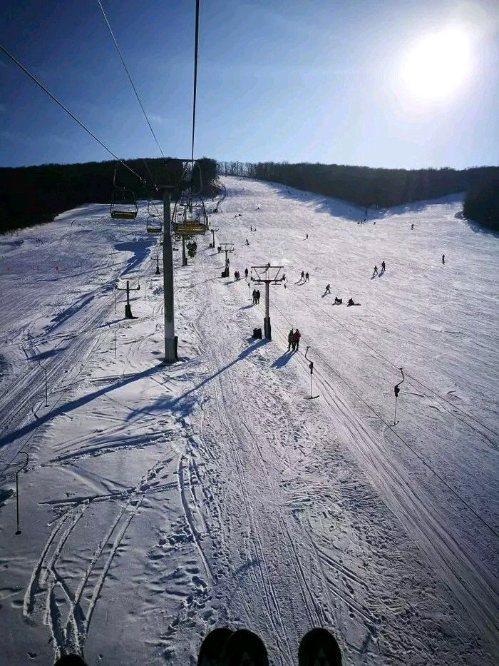 帽儿山哈体院滑雪场图片