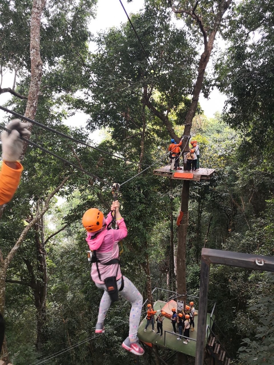 铁山坪飞越图片