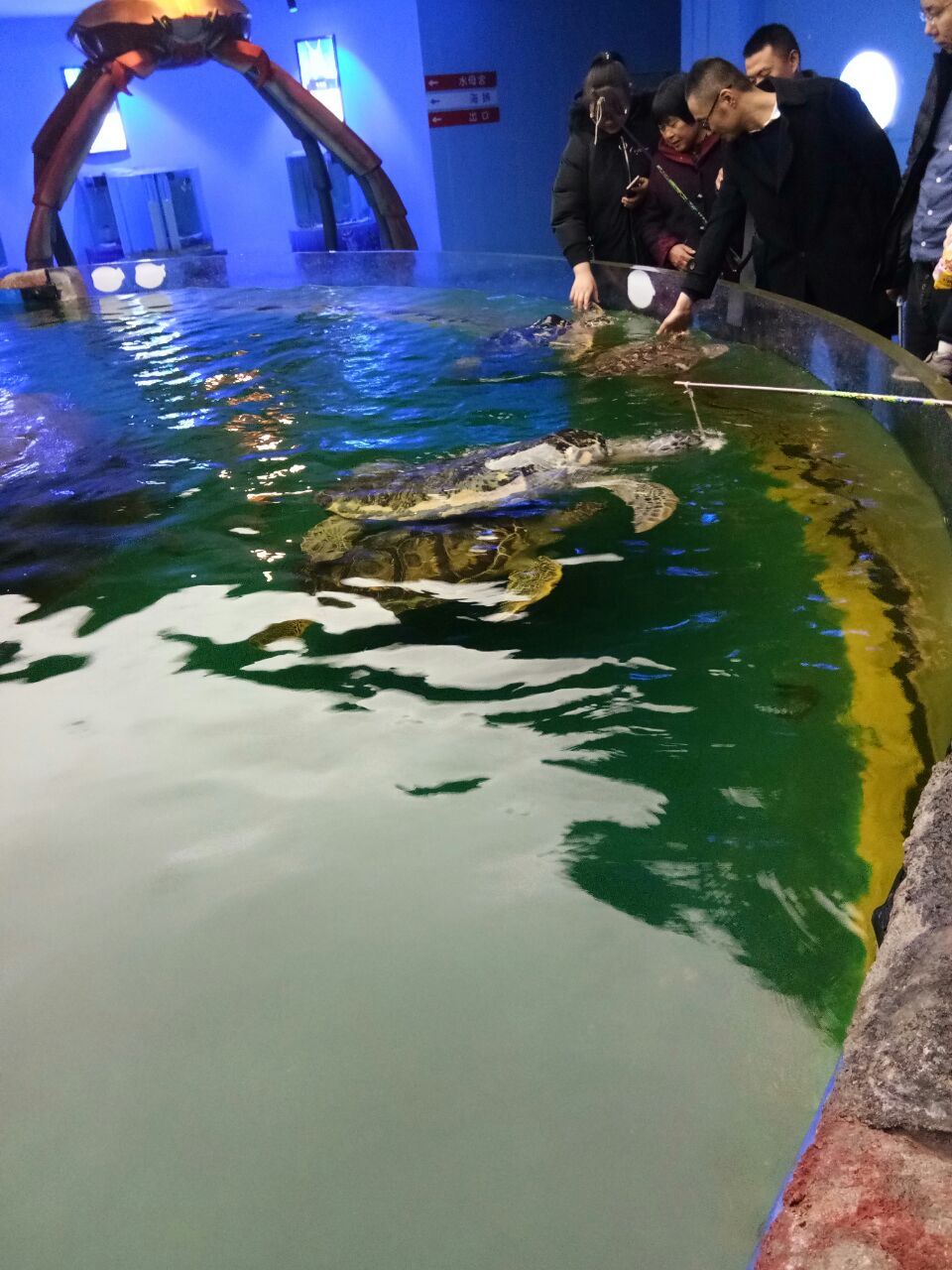 潍坊欢乐海底世界