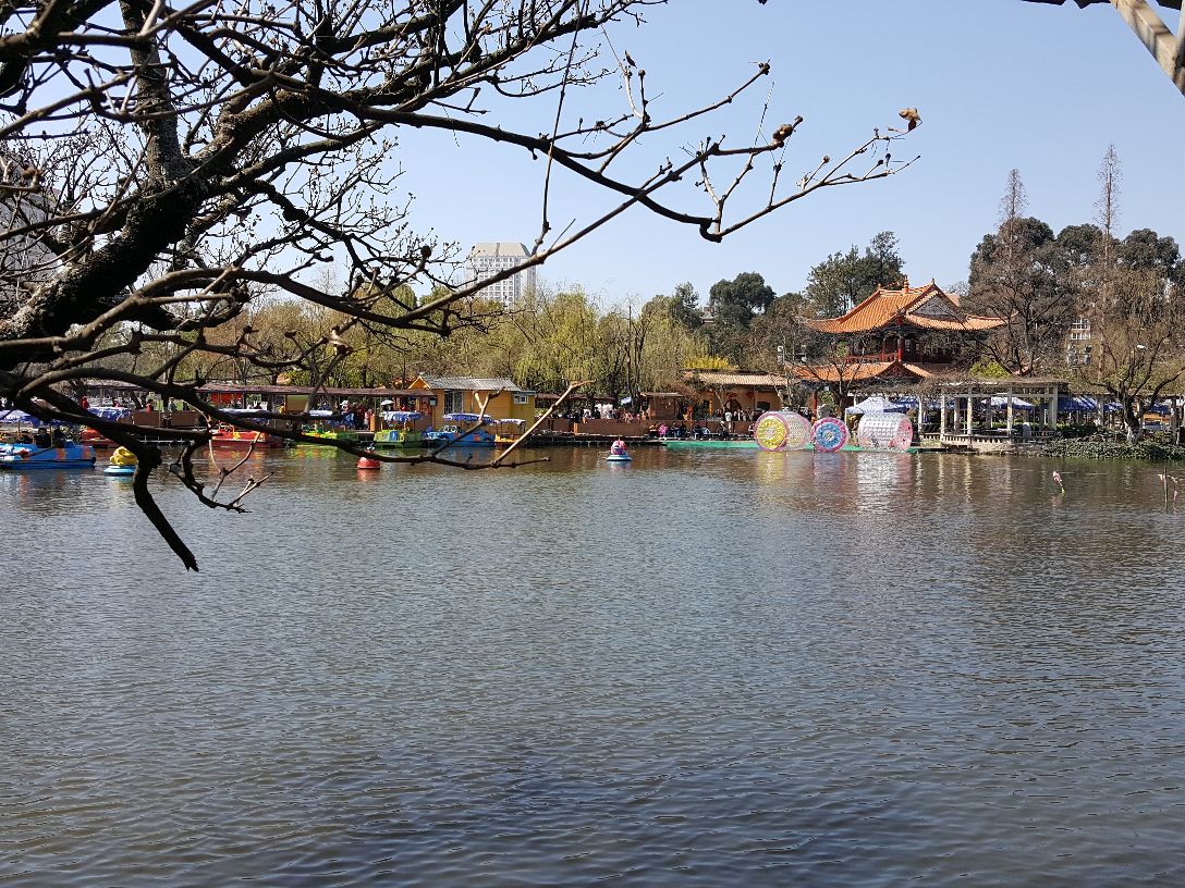 2019翠湖公园_旅游攻略_门票_地址_游记点评,昆明旅游景点推荐 - 去