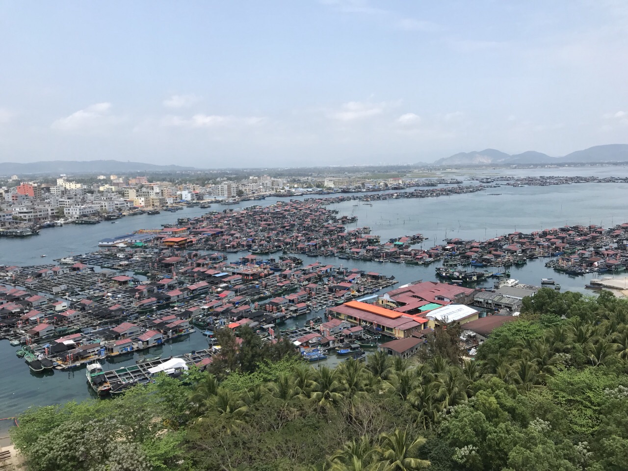 陵水南灣猴島好玩嗎,陵水南灣猴島景點怎麼樣_點評_評價【攜程攻略】