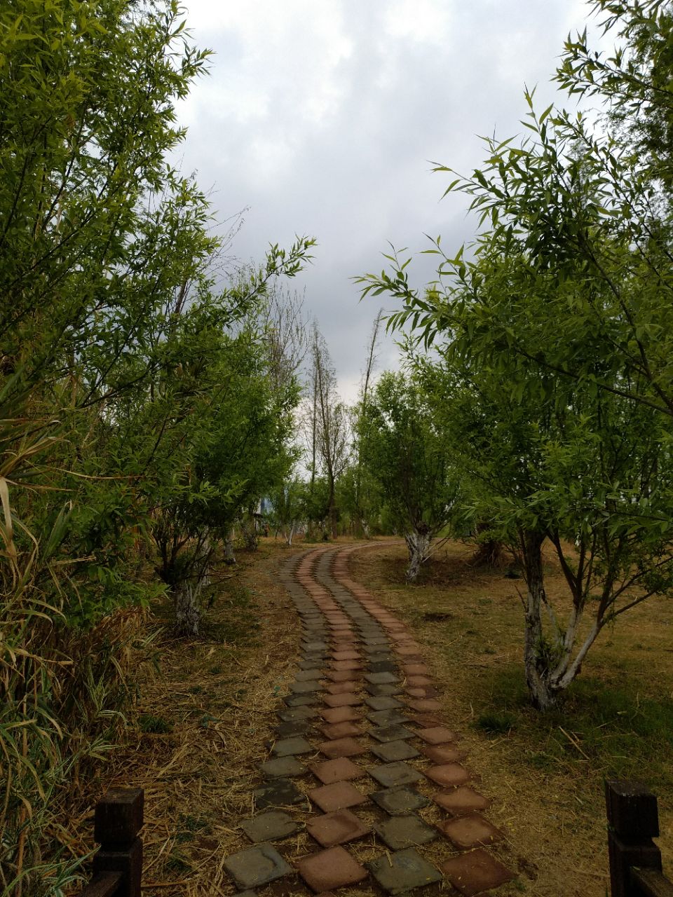 八仙岭郊野公园