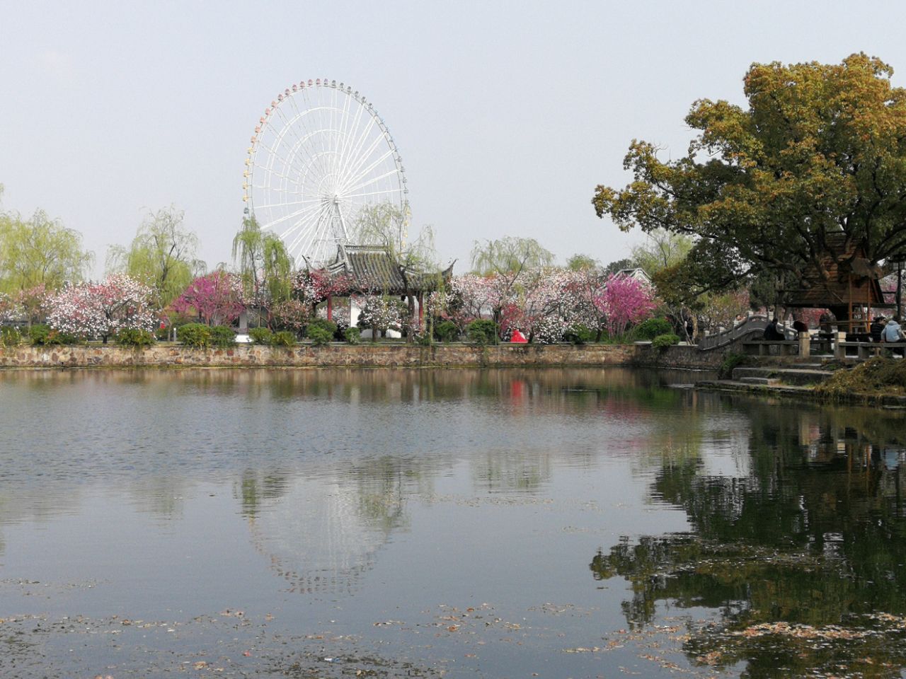 2019蠡園_旅遊攻略_門票_地址_遊記點評,無錫旅遊景點推薦 - 去哪兒