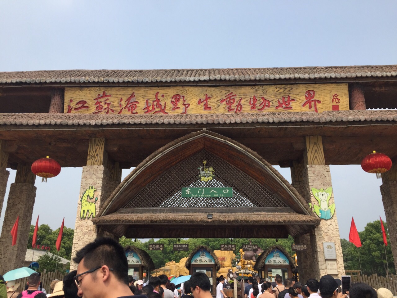 就在淹城春秋乐园旁边,就是野生动物园了,最大的特色就是上百只羊驼