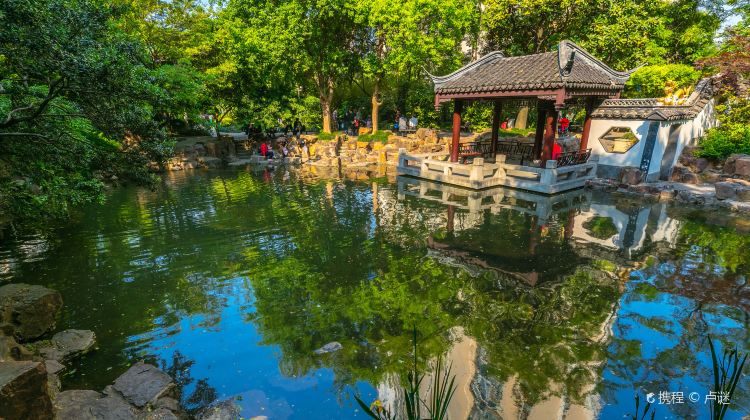 上海蓬莱公园照片图片