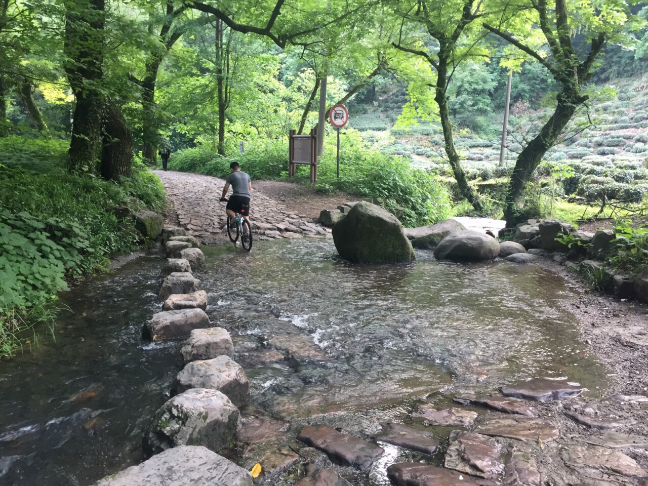 九溪煙樹是西湖新十景之一,俗稱