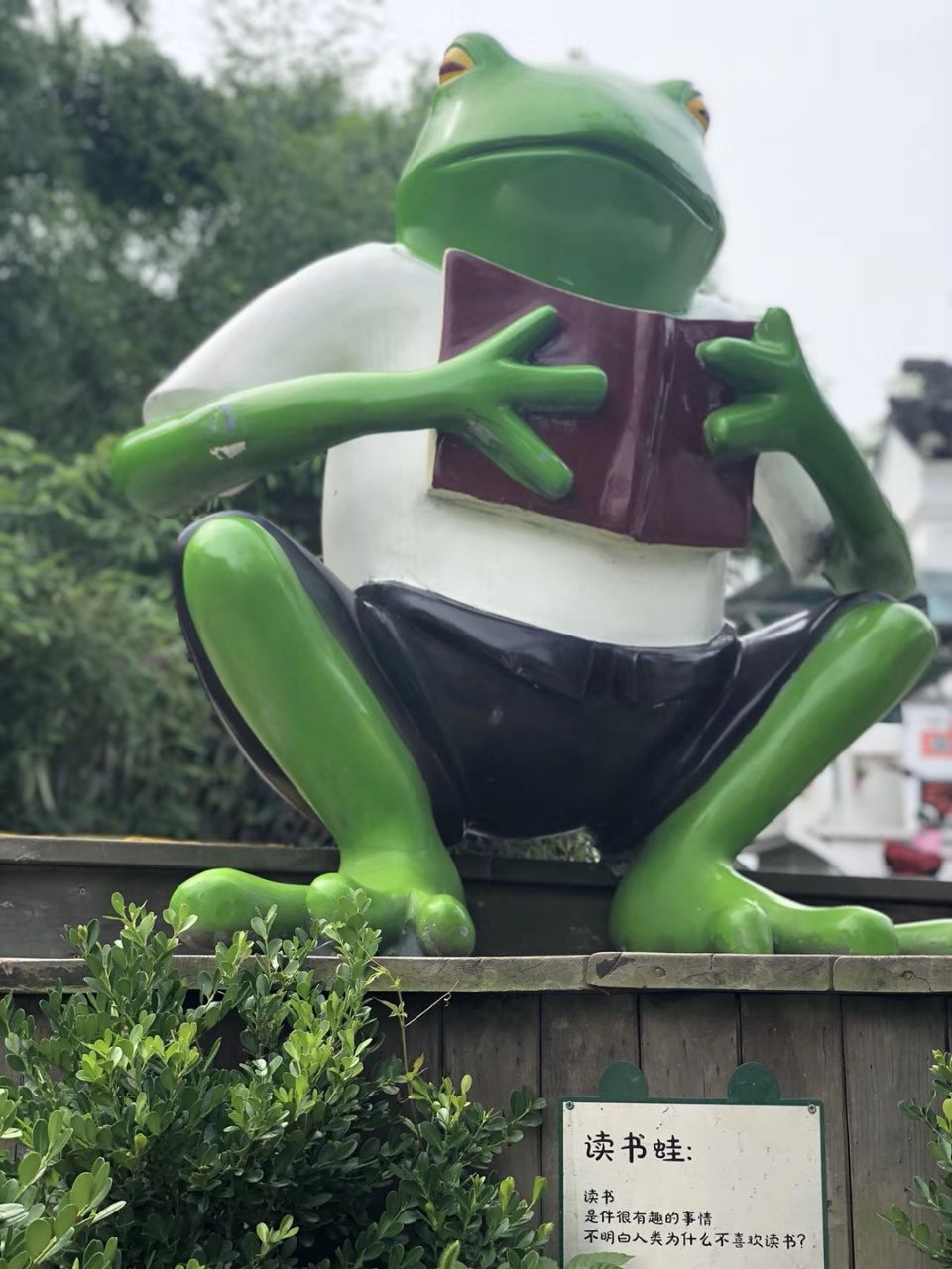 上荷塘寨春农场青蛙乐园