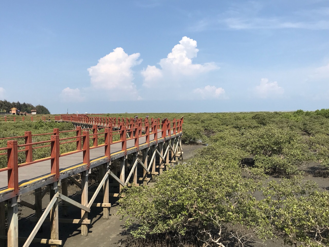 【攜程攻略】北海北海金海灣紅樹林生態旅遊區景點,攜程網上訂票就是