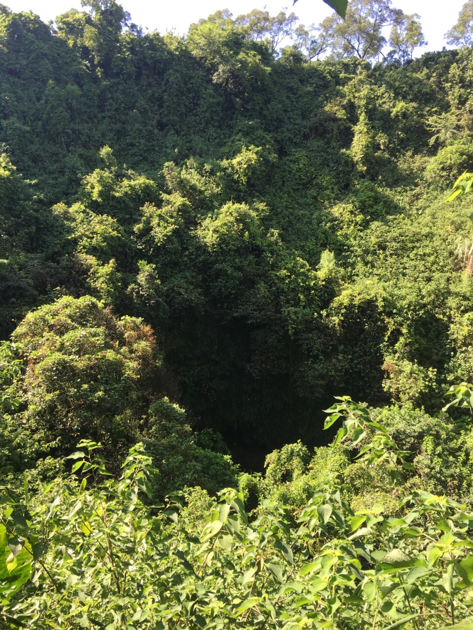 雷瓊海口火山群世界地質公園