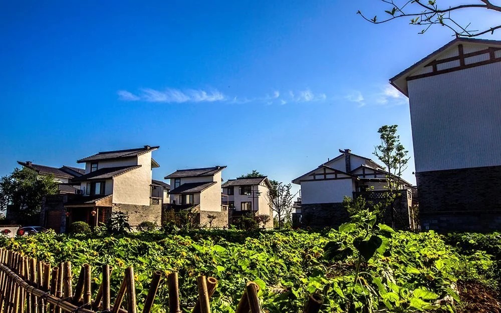 美丽的乡村 成都双流区云华新村,房前屋后有菜地,树木,花草,鱼塘