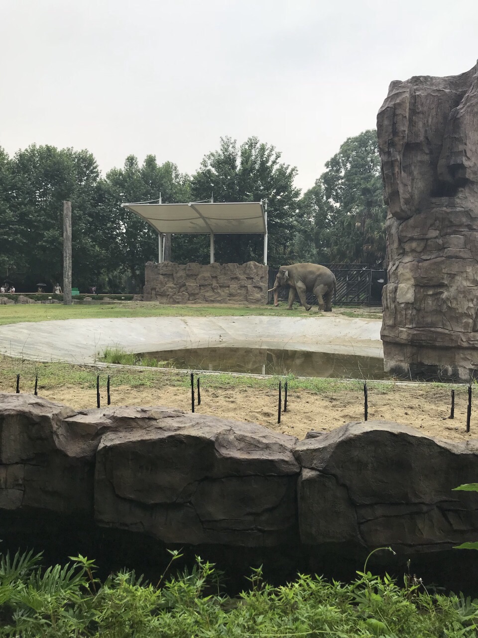 成都動物園