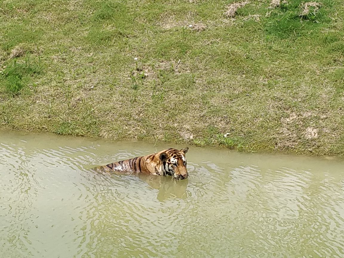 【攜程攻略】宿州宿州野生動物園景點,還是不錯的,功能區劃分比較合理