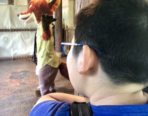 2019探险岛门票,上海迪士尼度假区探险岛游玩