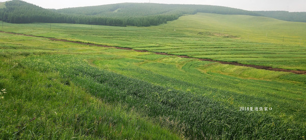 2018~~夏游张家口十天(三)~~五花草甸~滦河神