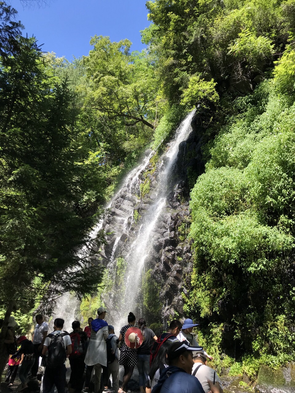 望天鵝風景區旅遊景點攻略圖