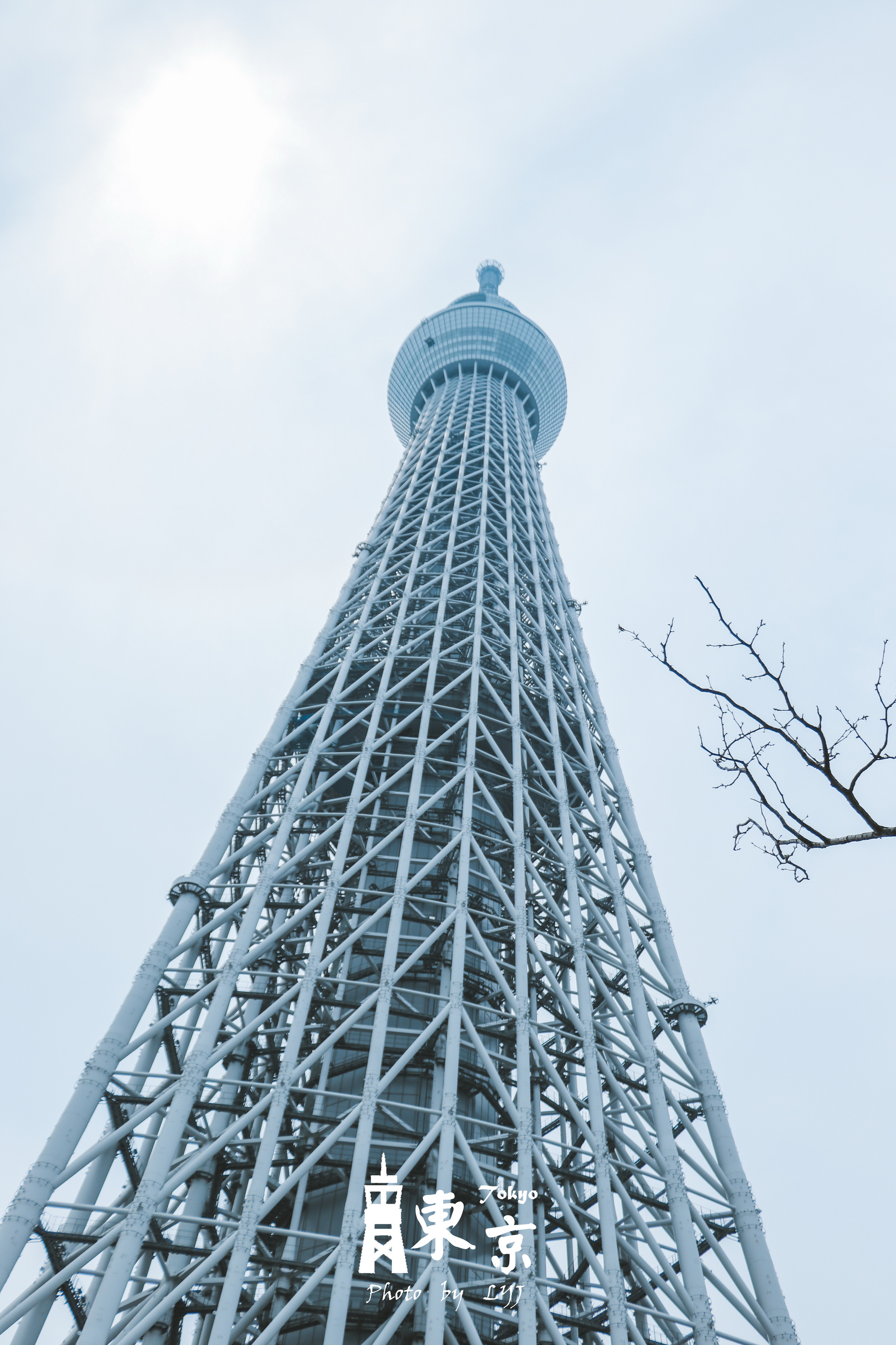 晴空塔有多少层