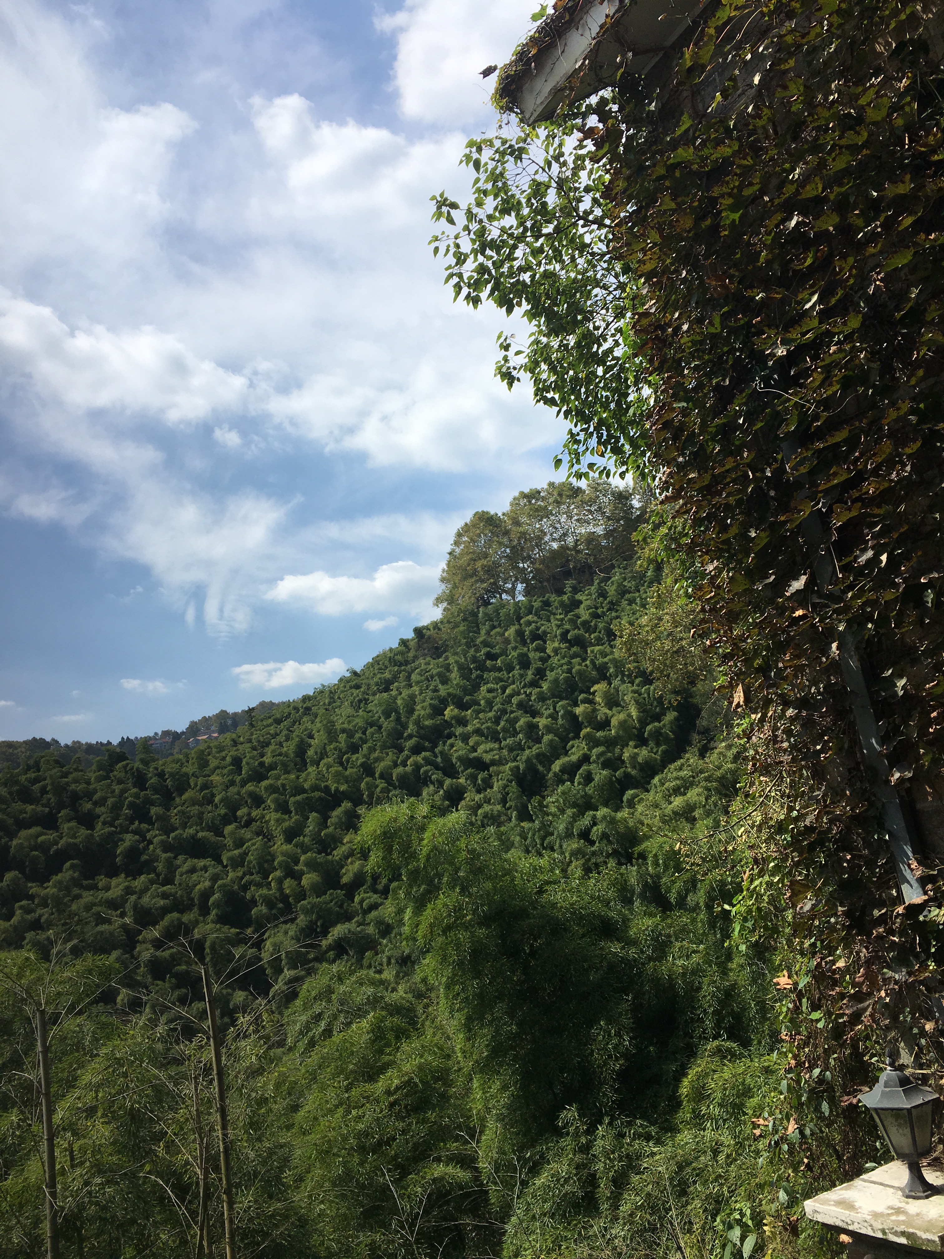 莫干山景區明天可以,去嗎