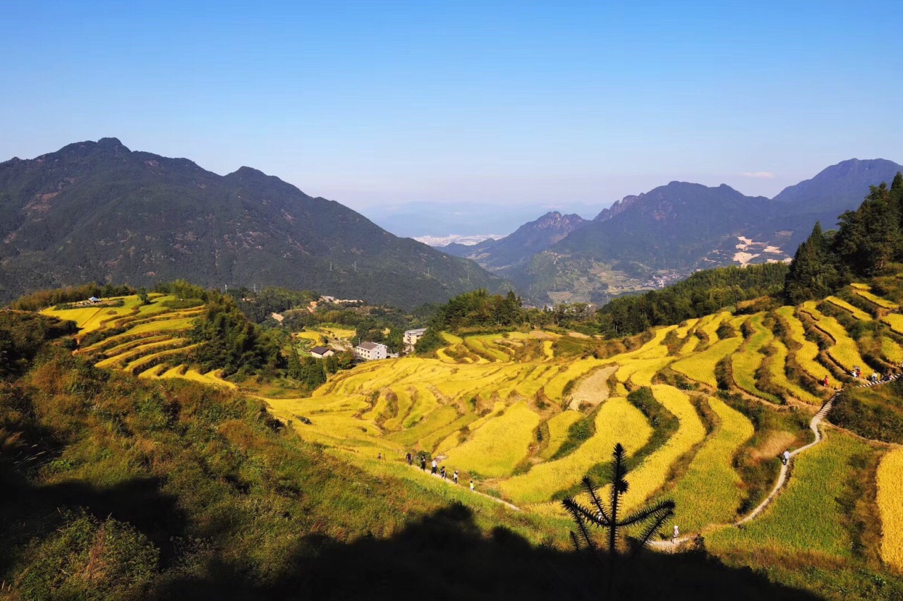 2019福安白云山-旅游攻略-门票-地址-问答-游记点评，宁德旅游旅游景点推荐-去哪儿攻略