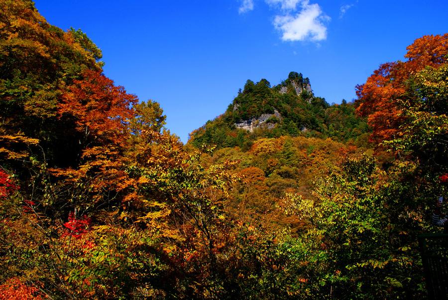 光霧山旅遊景點攻略圖