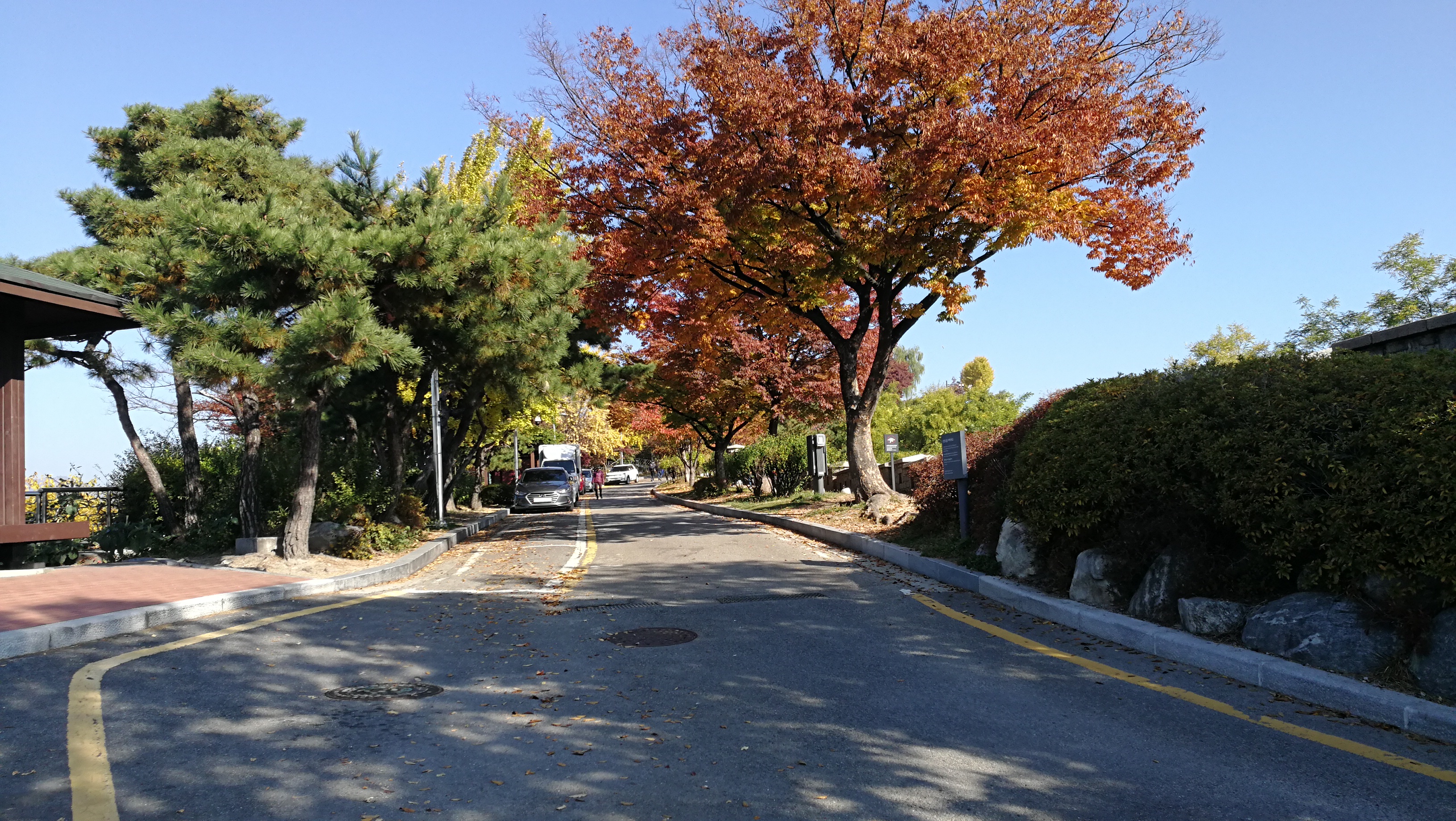 2019骆山公园_旅游攻略_门票_地址_游记点评,首尔旅游景点推荐 - 去