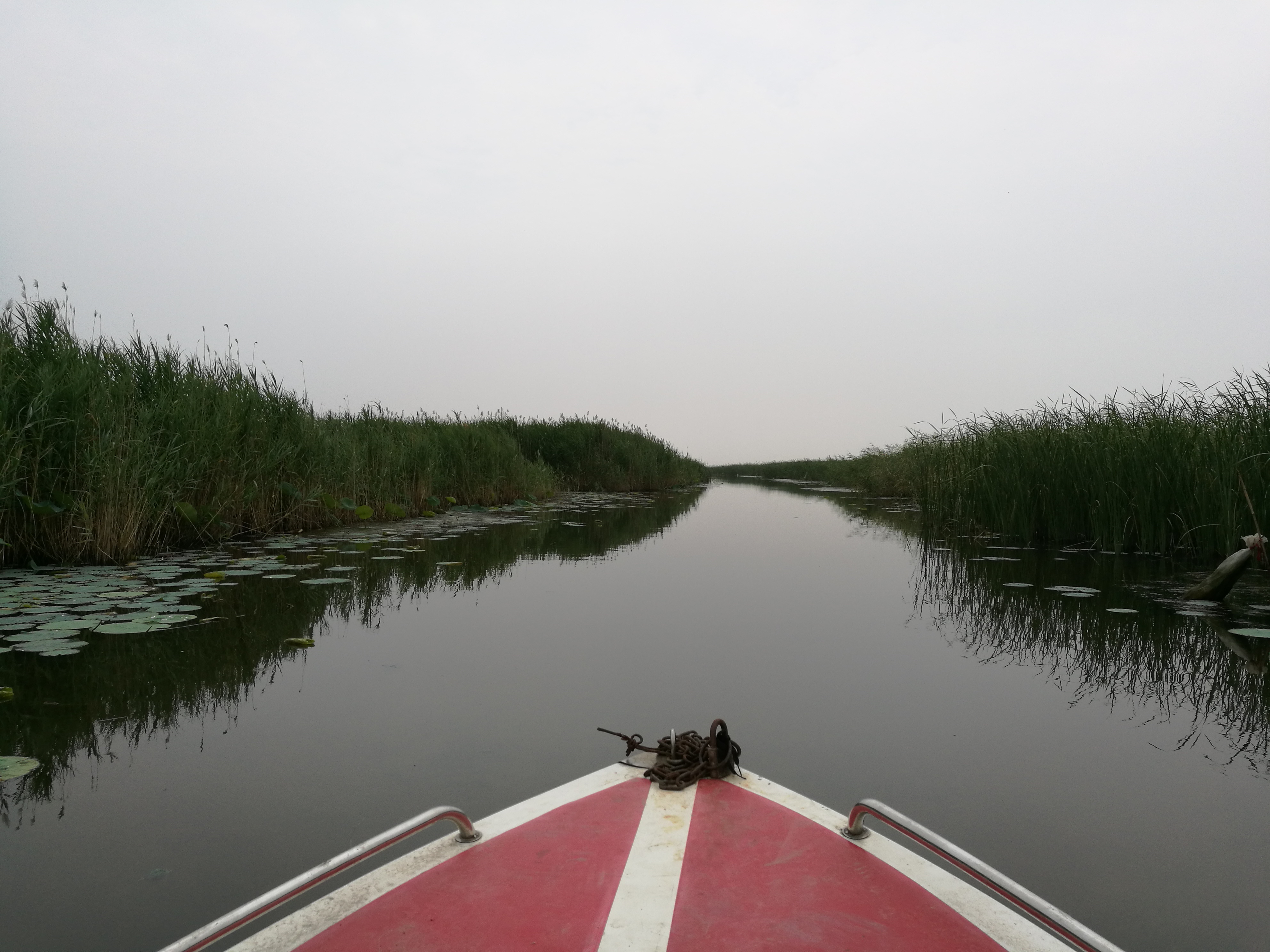 五一红色生态游：白洋淀保护地已准备就绪，恭候天津绿少小记者- 中国生物多样性保护与绿色发展基金会
