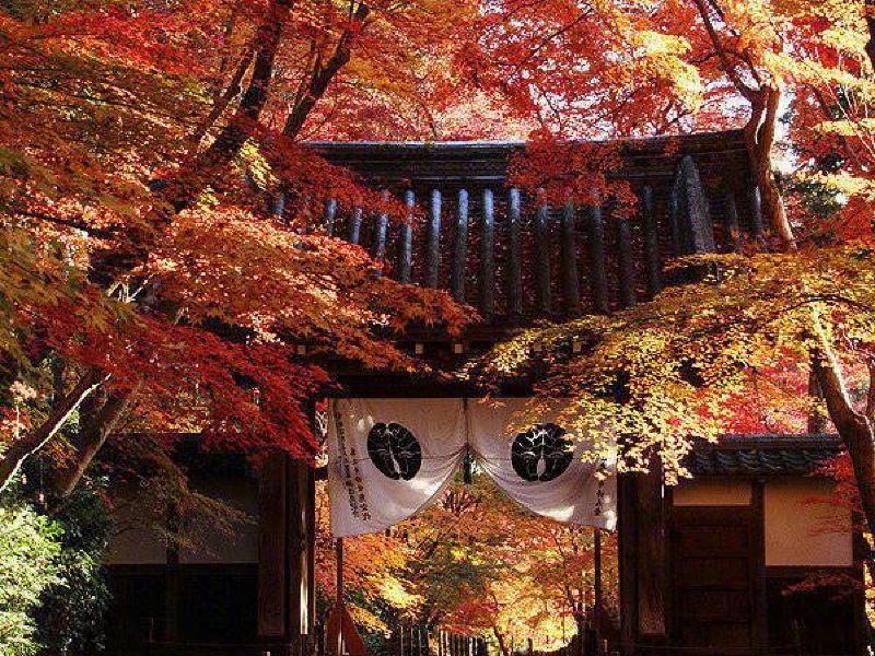 笠置山红叶公园