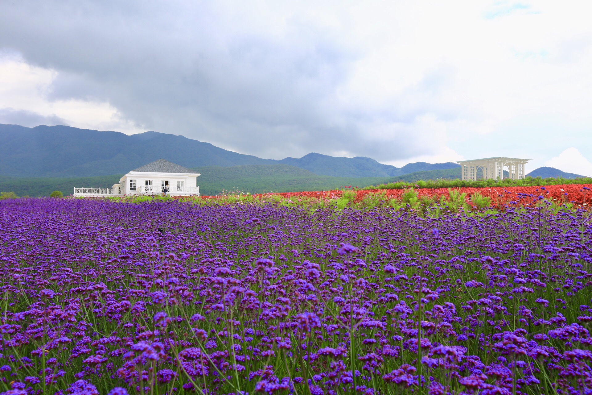 雪山花海乐园