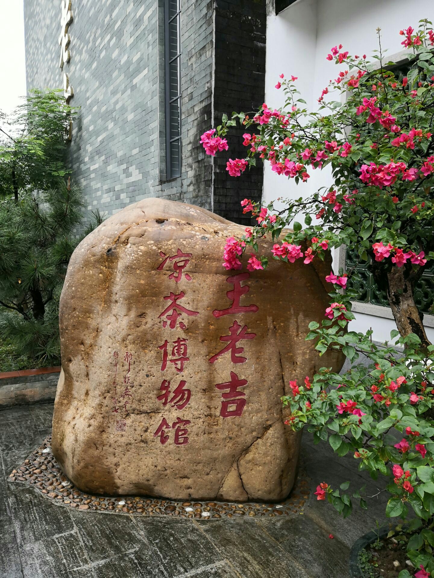 神农草堂中医药博物馆图片